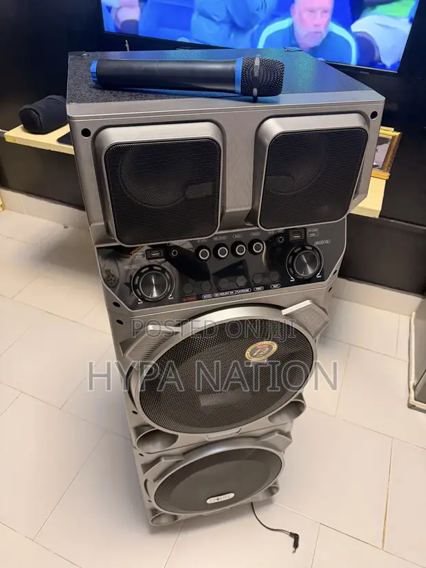 Dzire Speaker with Microphone - 1