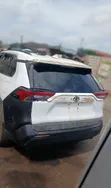 2019-2024 Toyota RAV4 Heated Tailgate Window Glass - 2