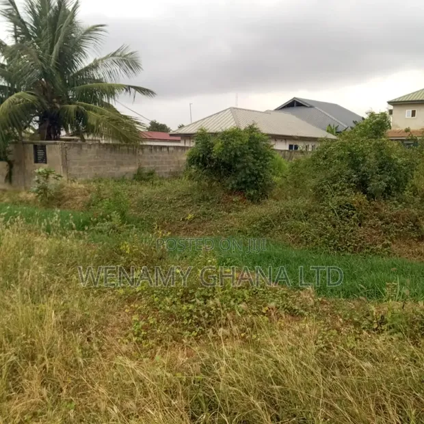 Half Plot for Sale in Community 25 - 1