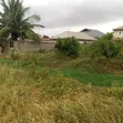 Half Plot for Sale in Community 25 - 1