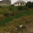 Half Plot for Sale in Community 25 - 4
