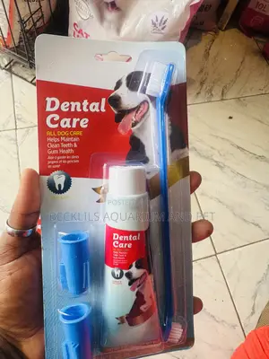 Grade A Dental Care for Dogs and Cats