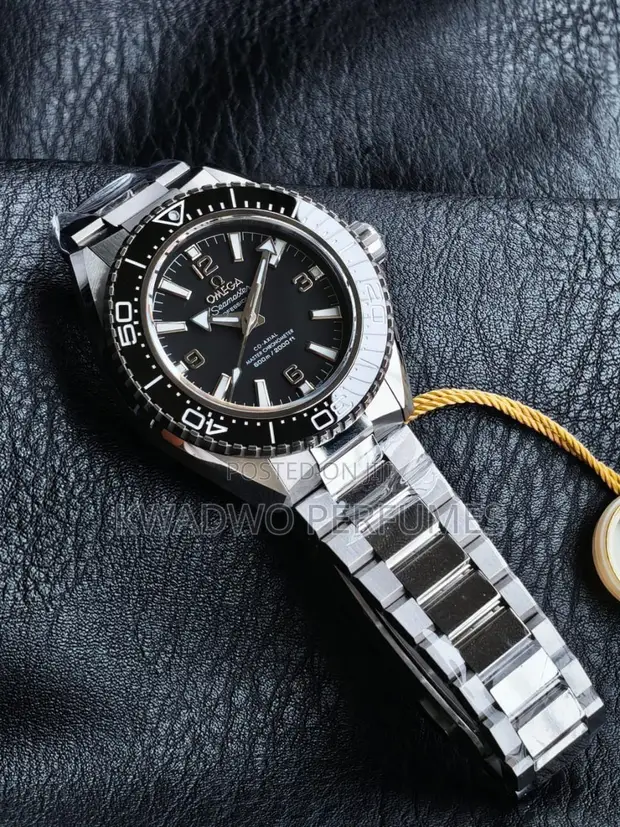 Omega Seamaster Watch - 1