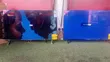 Asano 43" LED TV - 43DF2 - 1
