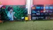 Asano 43" LED TV - 43DF2 - 2