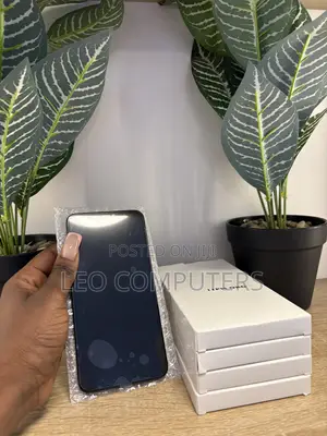 iPhone 11 Pro Max Screen (iCloud Locked)