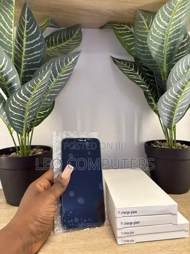 iPhone 11 iCloud Screen - 1