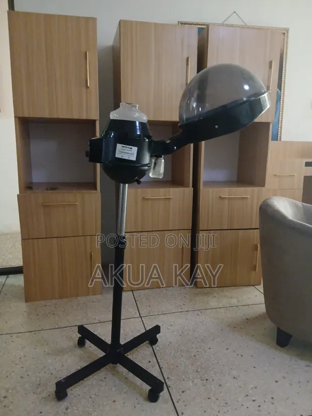 Standing Hair Steamer - 1