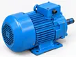 Ingco 5.5 HP Single Phase Electric Motor - 3