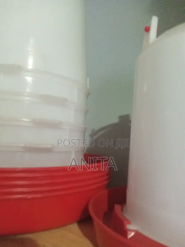 Brand New Chicken Drinkers for Day Old Chicks - 1