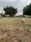 One and Half Plot for Sale - Spintex HFC Estate - 1