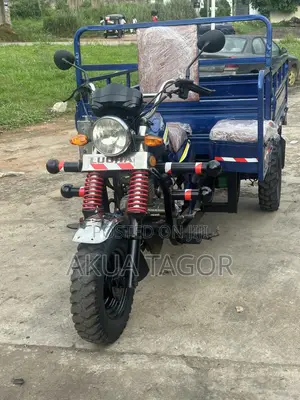 Luojia Cargo Tricycle 2025 - Blue