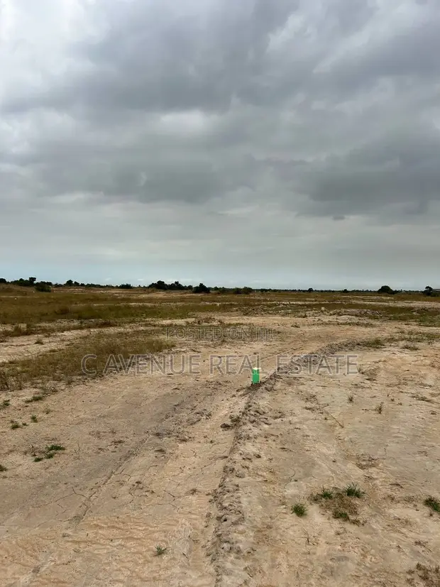 Full Plots for Sale in Tsopoli - 1