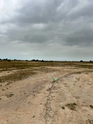 Full Plots for Sale in Tsopoli