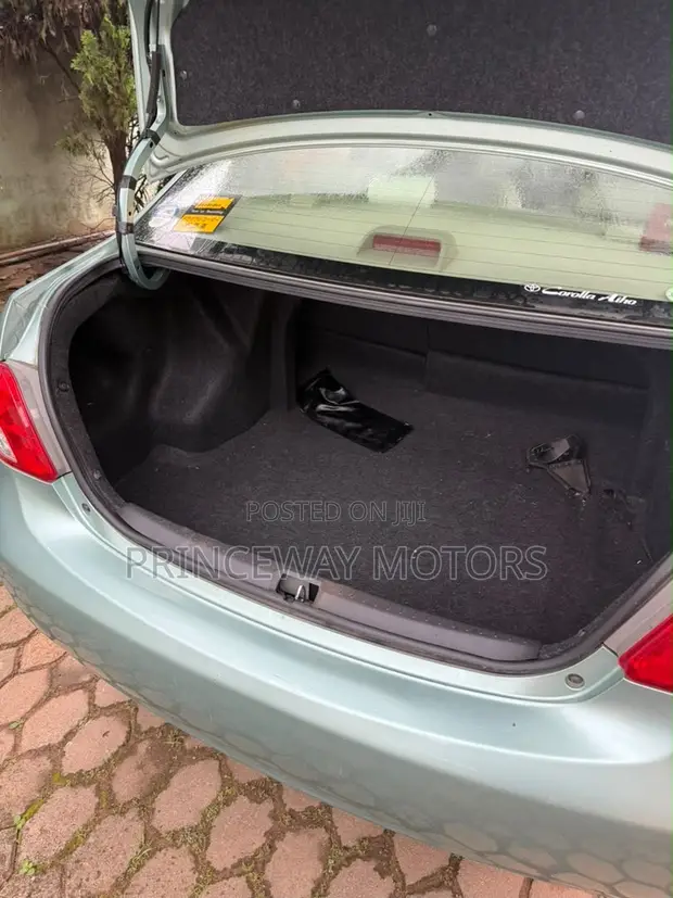 Toyota Belta 2011 Green - 1