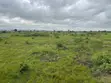 Land for Sale in Shai Hills, Tema-Akosombo Expansion Axis - 2