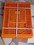 Transport Cage for Birds - 3