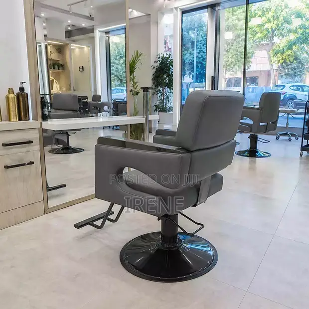 Professional Salon Chair - Dark Gray - 1