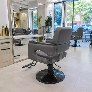 Professional Salon Chair - Dark Gray