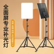 RA95 Studio Light - 3