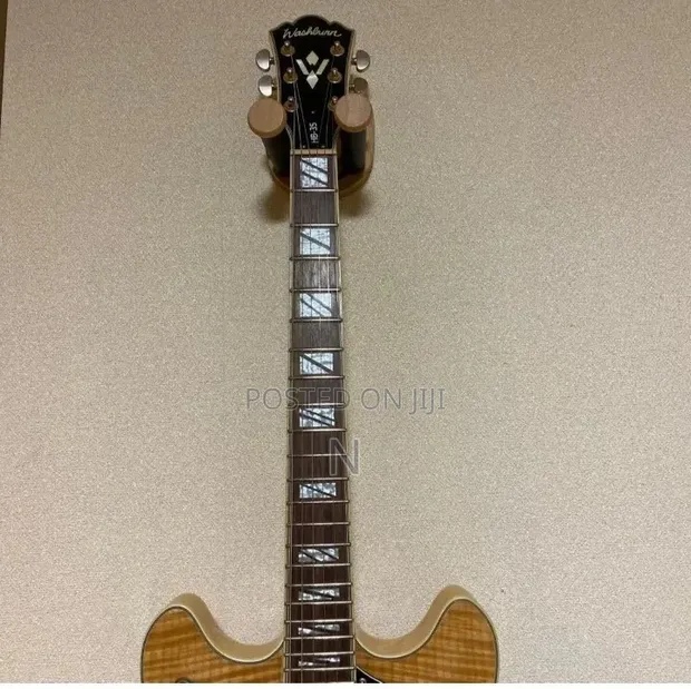 Washburn HB-35 Semi Hollow Body Electric Guitar - 1