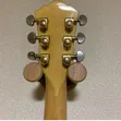 Washburn HB-35 Semi Hollow Body Electric Guitar - 2