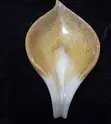 Customized Handmade Resin Soap Dish - 3
