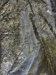 Sequins Fabric - Ash and Gold, 4 Yards - 3