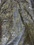 Sequins Fabric - Ash and Gold, 4 Yards - 4