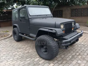 Jeep Wrangler Base 4x4 1993