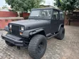 Jeep Wrangler Base 4x4 1993 - 5