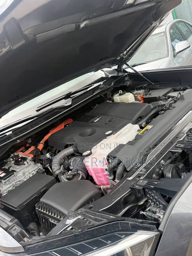 Toyota Sequoia Platinum 4WD 2023 Gray - 1