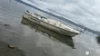 Large Fiberglass Speedboat - 225hp Yamaha - 1