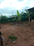 2.5 Plots of Land for Sale at Kasoa Ofankor - 4