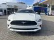 Ford Mustang 2021 - 2