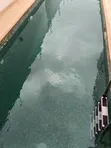 Andrew Business - Pool Cleaning Service - 2