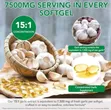 Aged Garlic Extract 7500mg 300 Softgels - 3