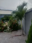 Furnished 3-Bedroom House for Sale in Hohoe - 2