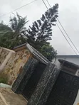 7-Bedroom Mansion for Rent in Adenta, Foster, Frafraha - 2