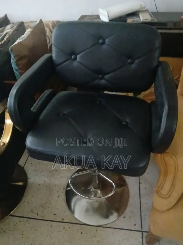 Salon Chair - 1