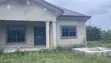Painter / Designer / Decorator Services - 3