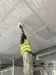 Painter / Designer / Decorator Services - 5