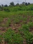 Gravel Plots Near Tamale Airport for Sale - 4