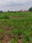 Gravel Plots Near Tamale Airport for Sale - 5