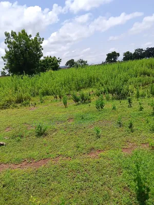Plots for Sale at Jontong-Jangyili, Tamale