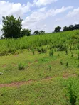 Plots for Sale at Jontong-Jangyili, Tamale - 1