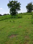 Plots for Sale at Jontong-Jangyili, Tamale - 2