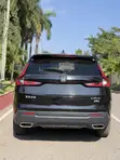Honda CR-V EX-L AWD 2025 Gray - 2