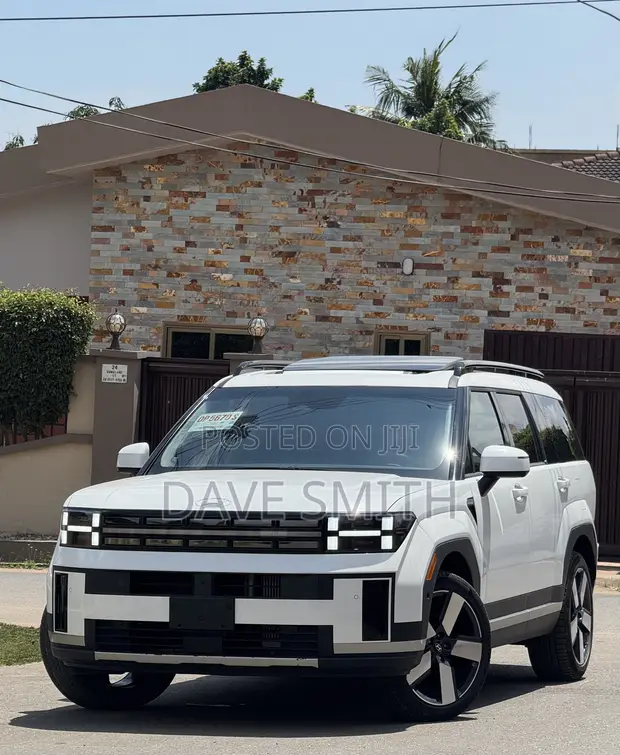 Hyundai Santa Fe Limited 2024 White - 1
