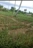 Full Plot of Land for Sale - Adawukwa Road, Kasoa - 3